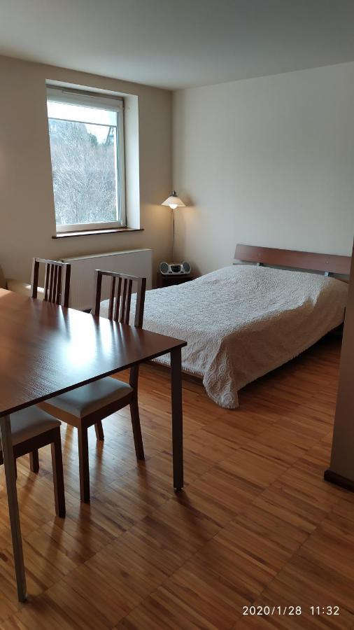 Zawoja1560 Apartamenty Przy Aptece Dış mekan fotoğraf